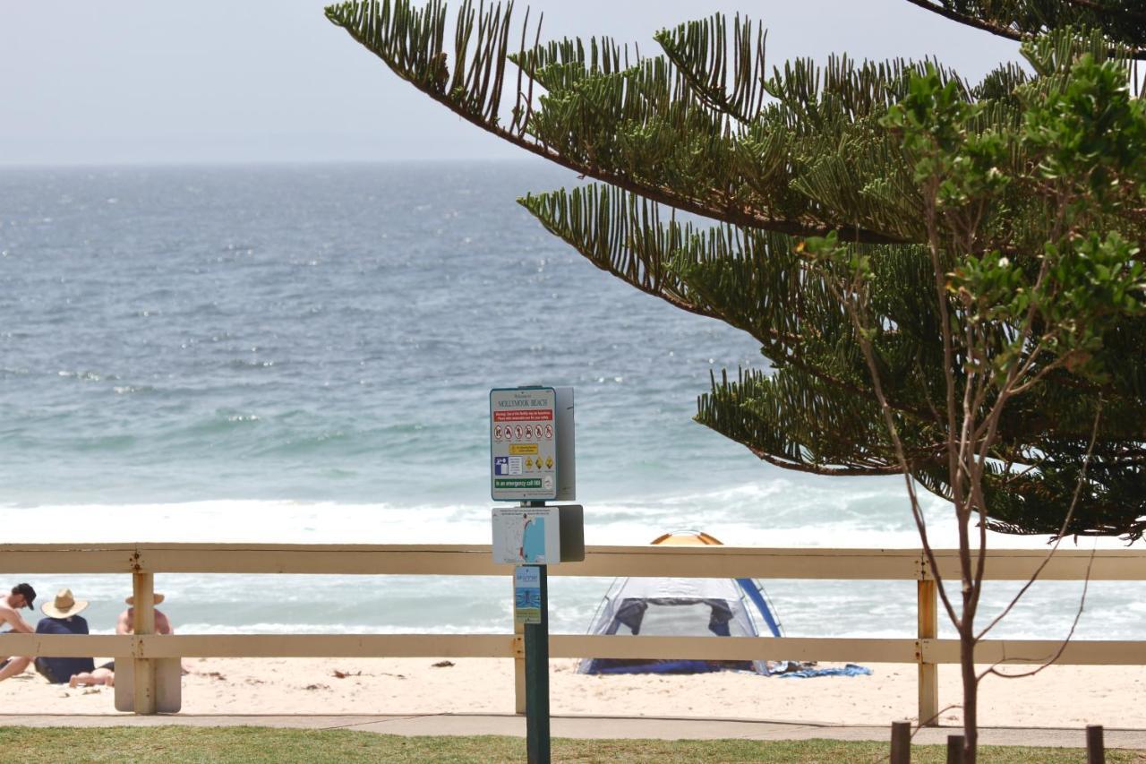 Beachfront One, Mollymook Exterior photo