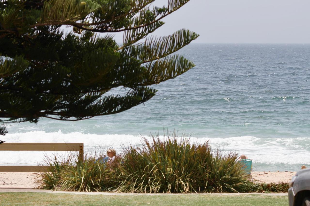 Beachfront One, Mollymook Exterior photo
